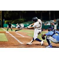 Brett Wisely Homers for the Charleston RiverDogs