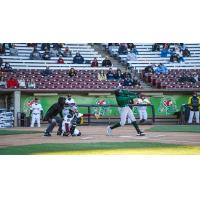 Beloit Snappers at bat against the Wisconsin Timber Rattlers in the season opener