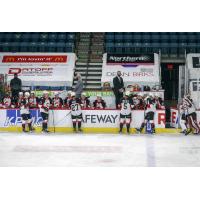 Prince George Cougars bench vs. the Vancouver Giants
