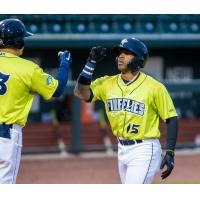Juan Carlos Negret of the Columbia Fireflies comes in to score after his home run