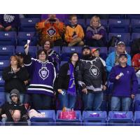 Reading Royals fans enjoy the action