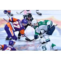 Maine Mariners face off with the Orlando Solar Bears