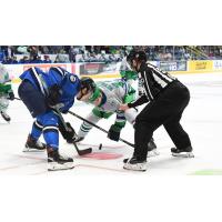 Jacksonville Icemen face off with the Florida Everblades