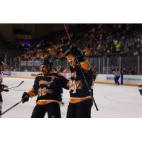 Knoxville Ice Bears react after a goal against the Birmingham Bulls