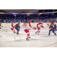 Allen Americans take on the Tulsa Oilers