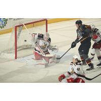 Grand Rapids Griffins goaltender Calvin Pickard tries to stop the Chicago Wolves
