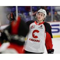 Prince George Cougars React after a goal