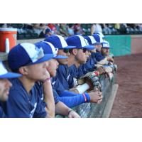 Evansville Otters on game day