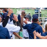 Pensacola Blue Wahoos' Griffin Conine celebrates home run