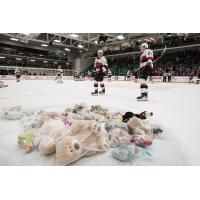 Bears on the ice for Teddy Bear Toss Night