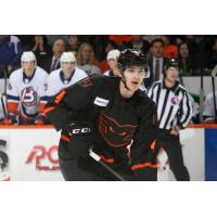 Lehigh Valley Phantoms defenseman Egor Zamula