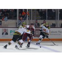 Peterborough Petes' Quinton Pagé battles North Bay Battalion's Avery Winslow and Pasquale Zito