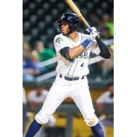 Columbia Fireflies' Erick Peña at bat