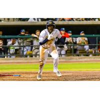 Charleston RiverDogs in action