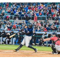 Somerset Patriots' Austin Wells in action