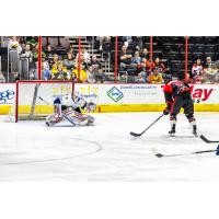 Cincinnati Cyclones' Jalen Smereck taking a shot