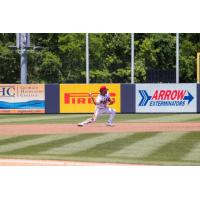 Rome Braves in action