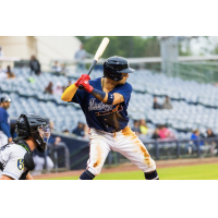 Mississippi Braves await a pitch