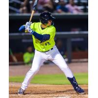 Dionmy Salon at bat for the Columbia Fireflies