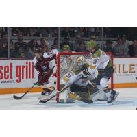 Peterborough Petes' Avery Hayes and North Bay Battalion's Dom DiVincentiis and Avery Winslow in action