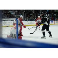 Allen Americans goaltender Kevin Mandolese faces a shot from the Idaho Steelheads