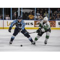 Milwaukee Admirals' Phil Tomasino battles Texas Stars' Tanner Kero