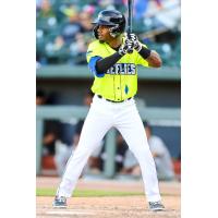 Columbia Fireflies' Omar Florentino at bat