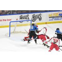 Allen Americans Battle The Idaho Steelheads