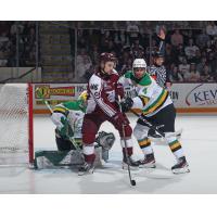 Peterborough Petes battle in front of the the London Knights net