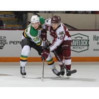 London Knights' Oliver Bonk versus Peterborough Petes' J.R. Avon