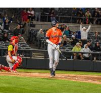 Somerset Patriots' T.J. Rumfield on game night