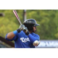 Evansville Otters at bat