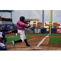 Pensacola Blue Wahoos outfielder Dane Myers