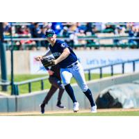 Somerset Patriots' Tyler Hardman in action