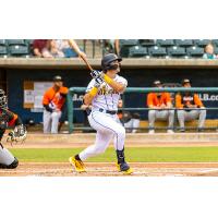 Charleston RiverDogs in action