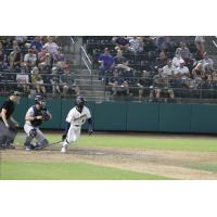 Tri-City Dust Devils' D'Shawn Knowles on game night