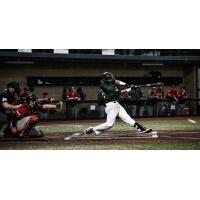 Mankato MoonDogs at bat