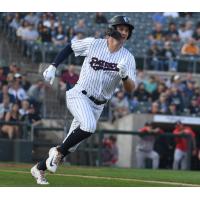 Somerset Patriots' Trey Sweeney in action