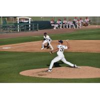 Tri-City Dust Devils in action