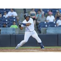 Tampa Tarpons' Agustin Ramirez at bat