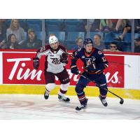 Peterborough Petes' Chase Stillman versus Kamloops Blazers' Ryan Michael