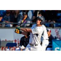 Victoria HarbourCats Jack Johnson at bat