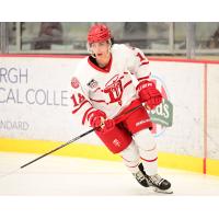 Forward Michael Burchill with the Dubuque Fighting Saints