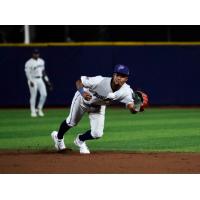 Pensacola Blue Wahoos in action