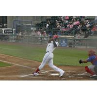 Tri-City Dust Devils' Alexander Ramirez at bat