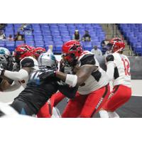 Jacksonville Sharks quarterback Conor Blount drops back