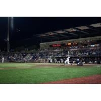 Pensacola Blue Wahoos at bat