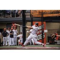 Mankato MoonDogs at bat