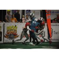 Jacksonville Sharks battle the Fayetteville Mustangs