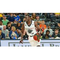 Ottawa BlackJacks' Deng Adel in action